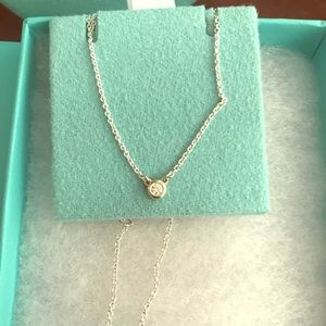 *Please, DO NOT PURCHASE* Tiffany&Co necklace